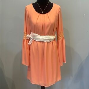 Elegant Peach Dress with cream  Sash altar’d state brand large